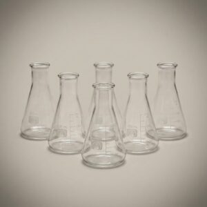 Erlenmeyer Flasks, 250 mL — 6 per pack, borosilicate glass