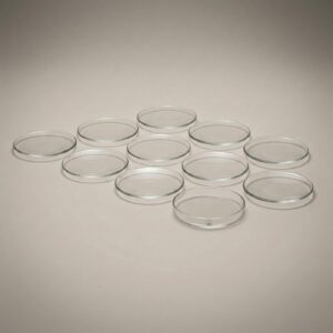 Watch Glasses, 100 mm — 12 per pack, borosilicate glass